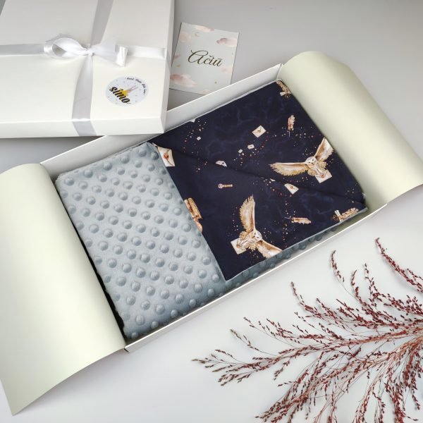 Hario Poterio pilkas pledukas "Hedviga"