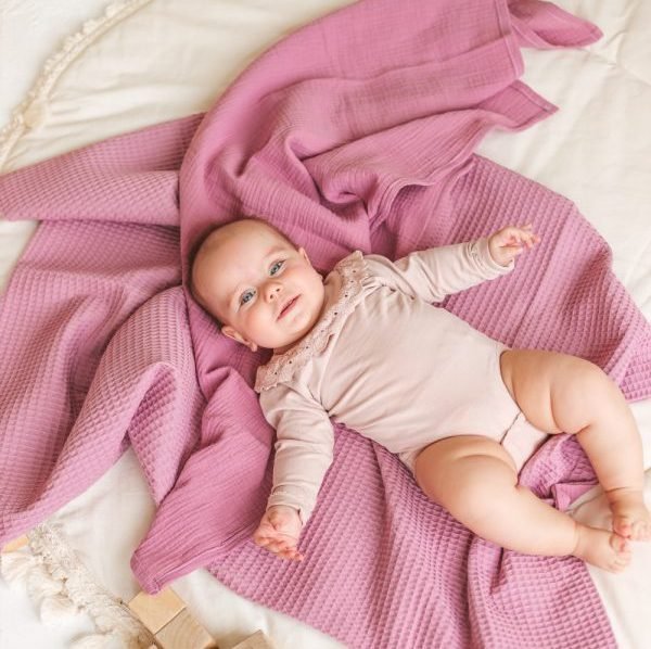 pelenų rožės vaflinukas