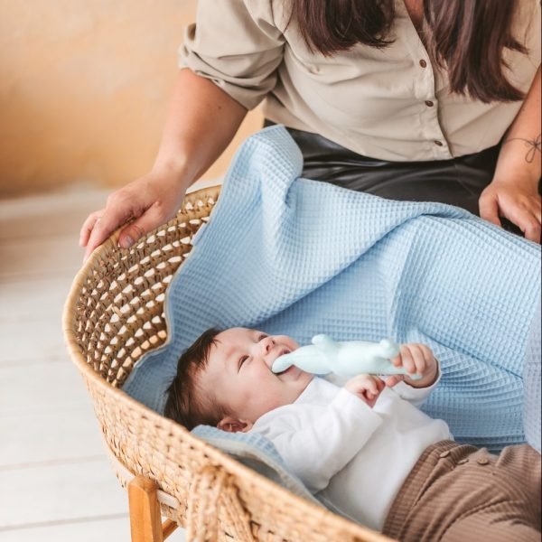 Žydras vaflinuko užklotukas Žydras vaflinuko užklotukas