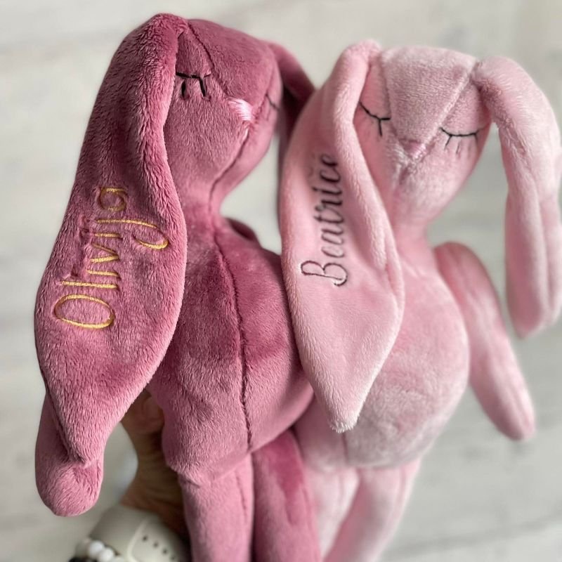 pelenų rožės spalvos zuikis pelenų rožės spalvos zuikis