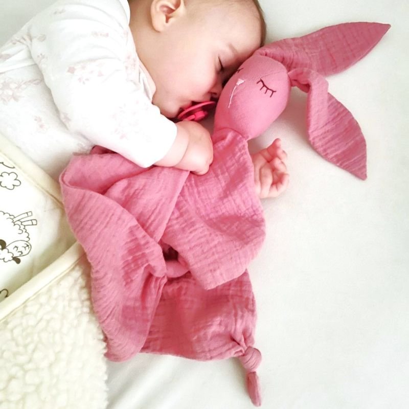 pelenų rožės migdukas pelenų rožės migdukas