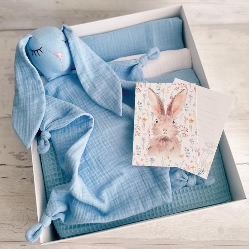 žydros dovanų dėžutė žydros dovanų dėžutė