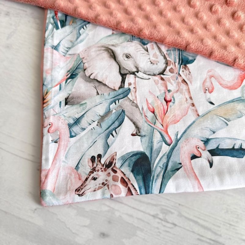 pledukas Savana pledukas Savana