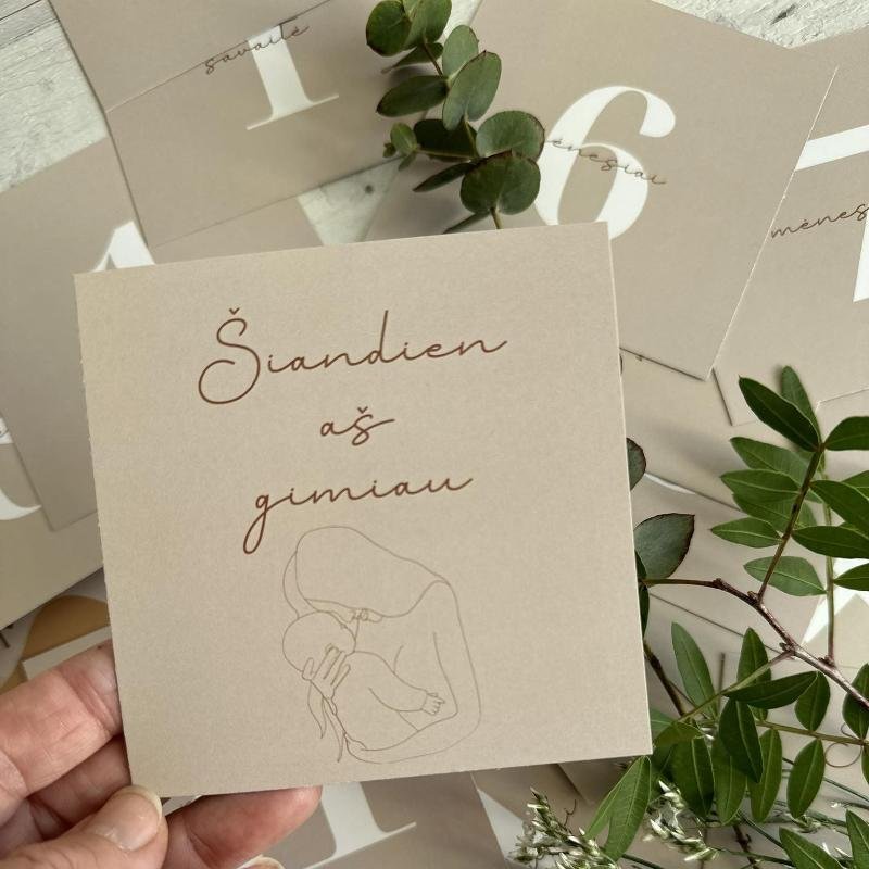 mėnesiu korteles mėnesiu korteles