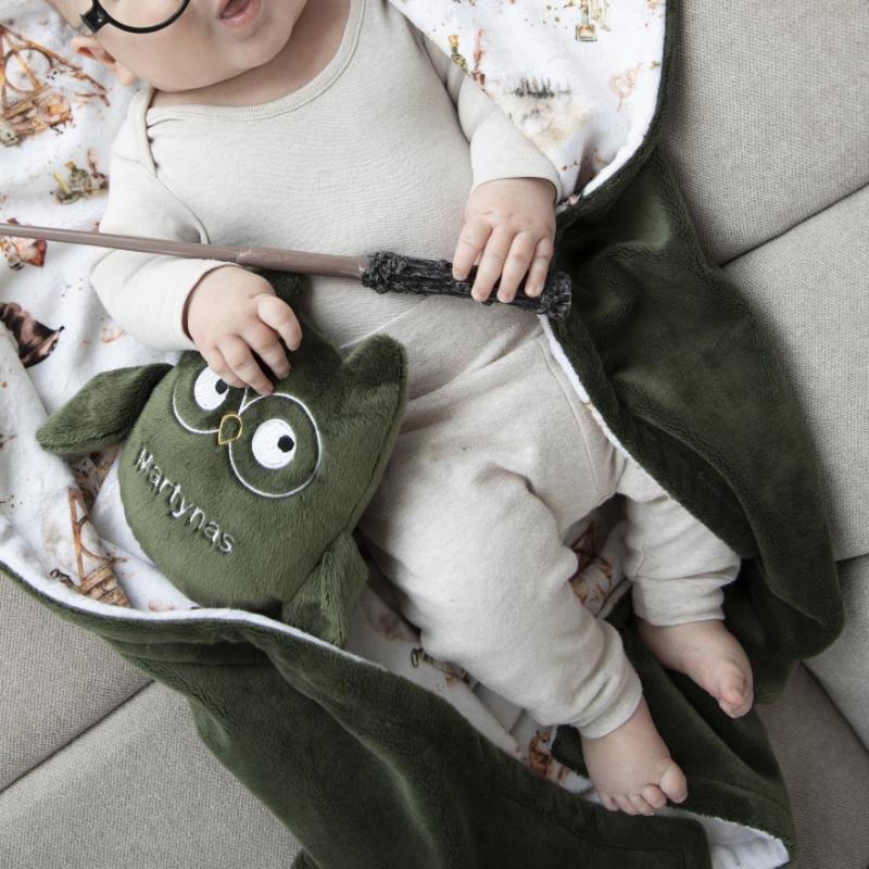 Hario Poterio Hedviga Hario Poterio pledukas ir peleda