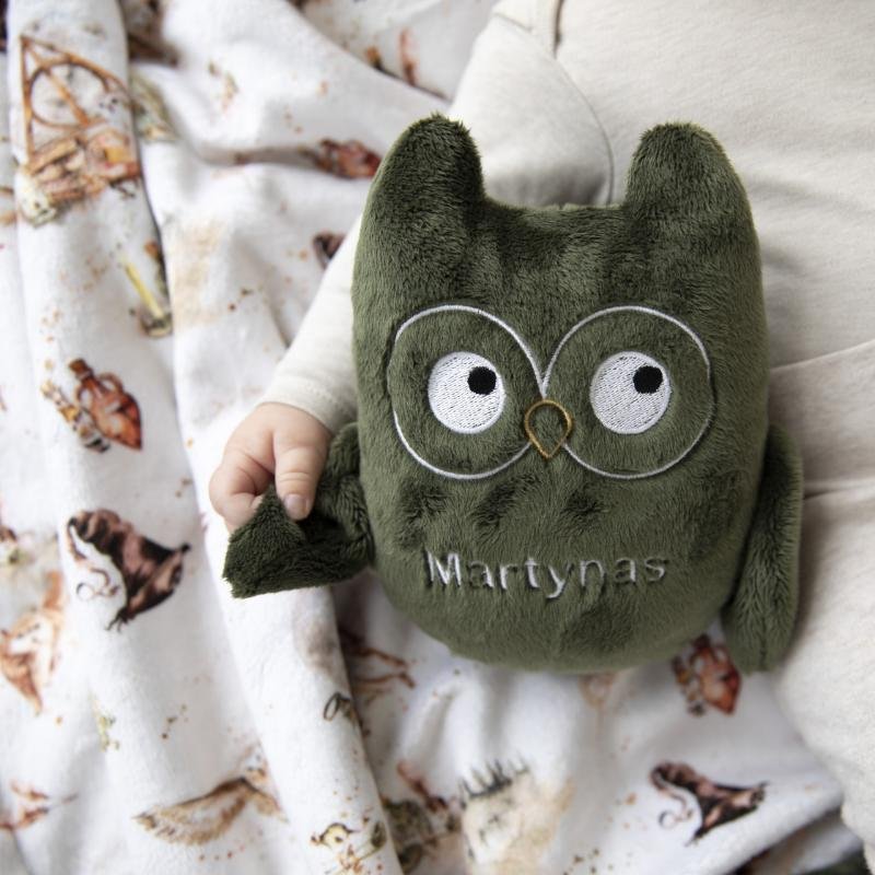 pa;eda Hedviga su vardu Hario Poterio pledukas ir peleda