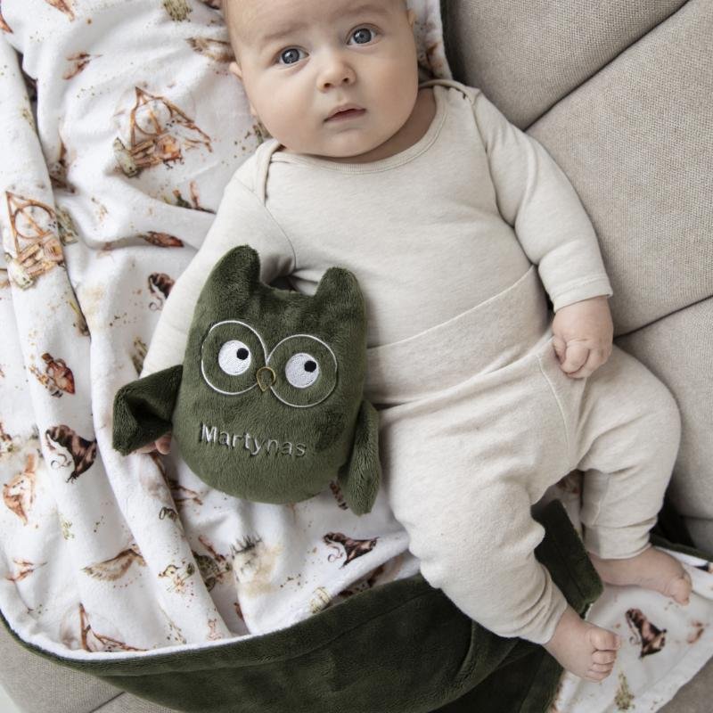 pledukas ir peleda Hedviga Hario Poterio pledukas ir peleda