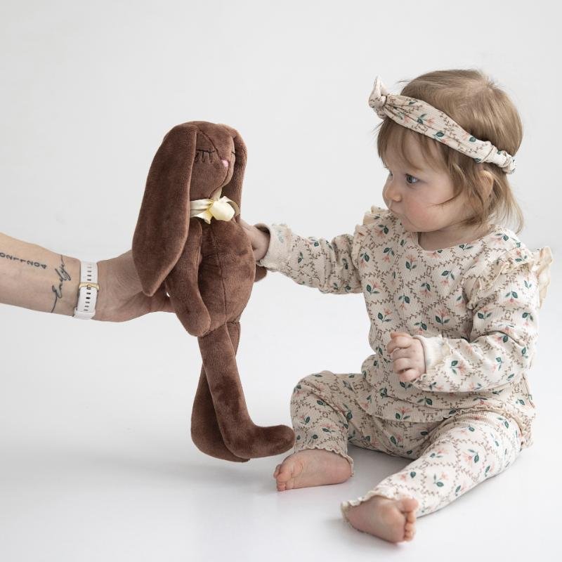 ranku darbo zuikis rudos sp ranku darbo zuikis