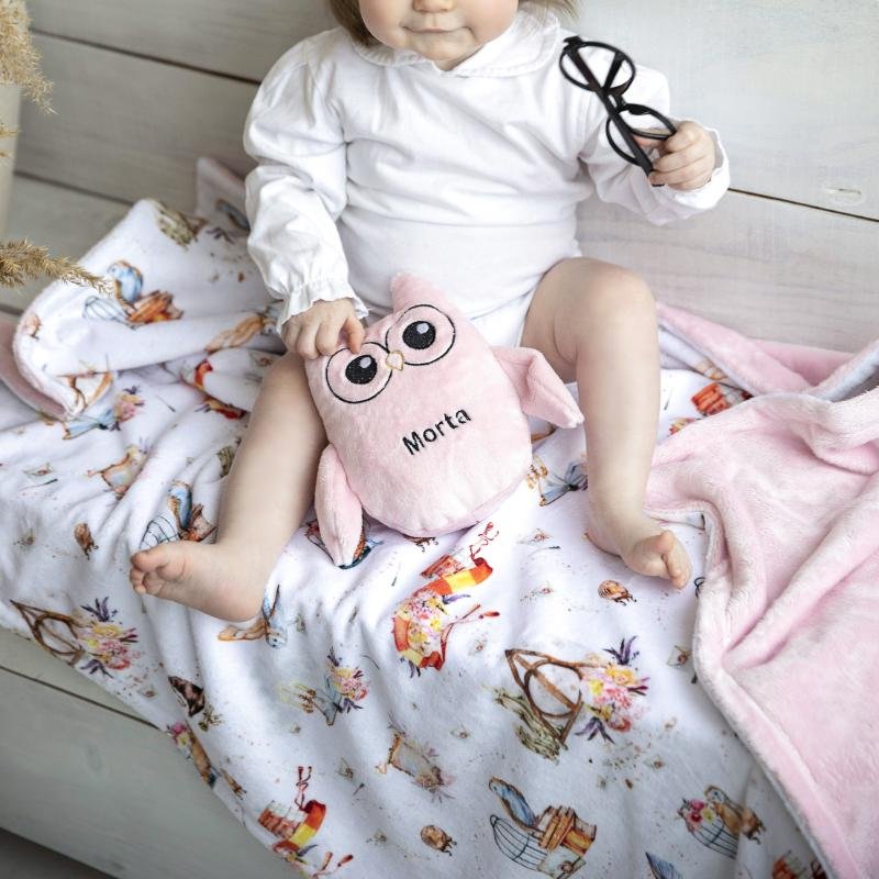 zaisliukas Hedviga ir pledukas zaisliukas Hedviga ir pledukas