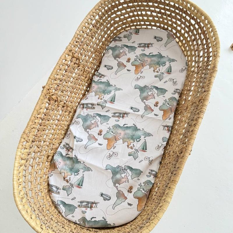 paklode vezimeliui Pasaulis