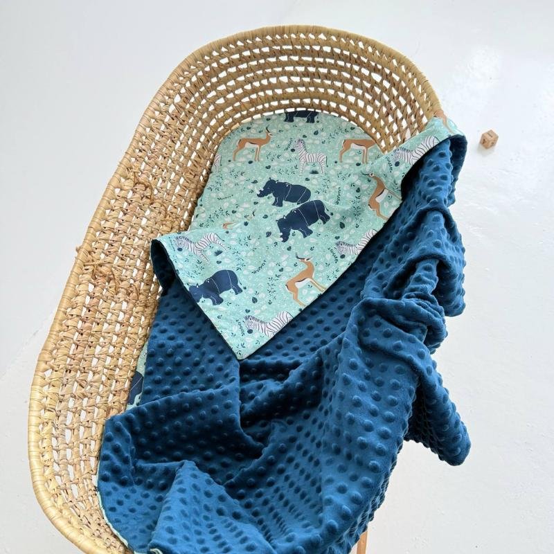 paklode vezimeliui ir pledukas paklode vezimeliui ir pledukas