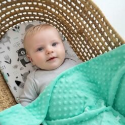 pleduko ir paklodeles rinkinys metines spalvos