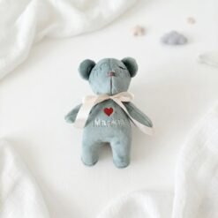 rankų darbo Meškutis su vardu